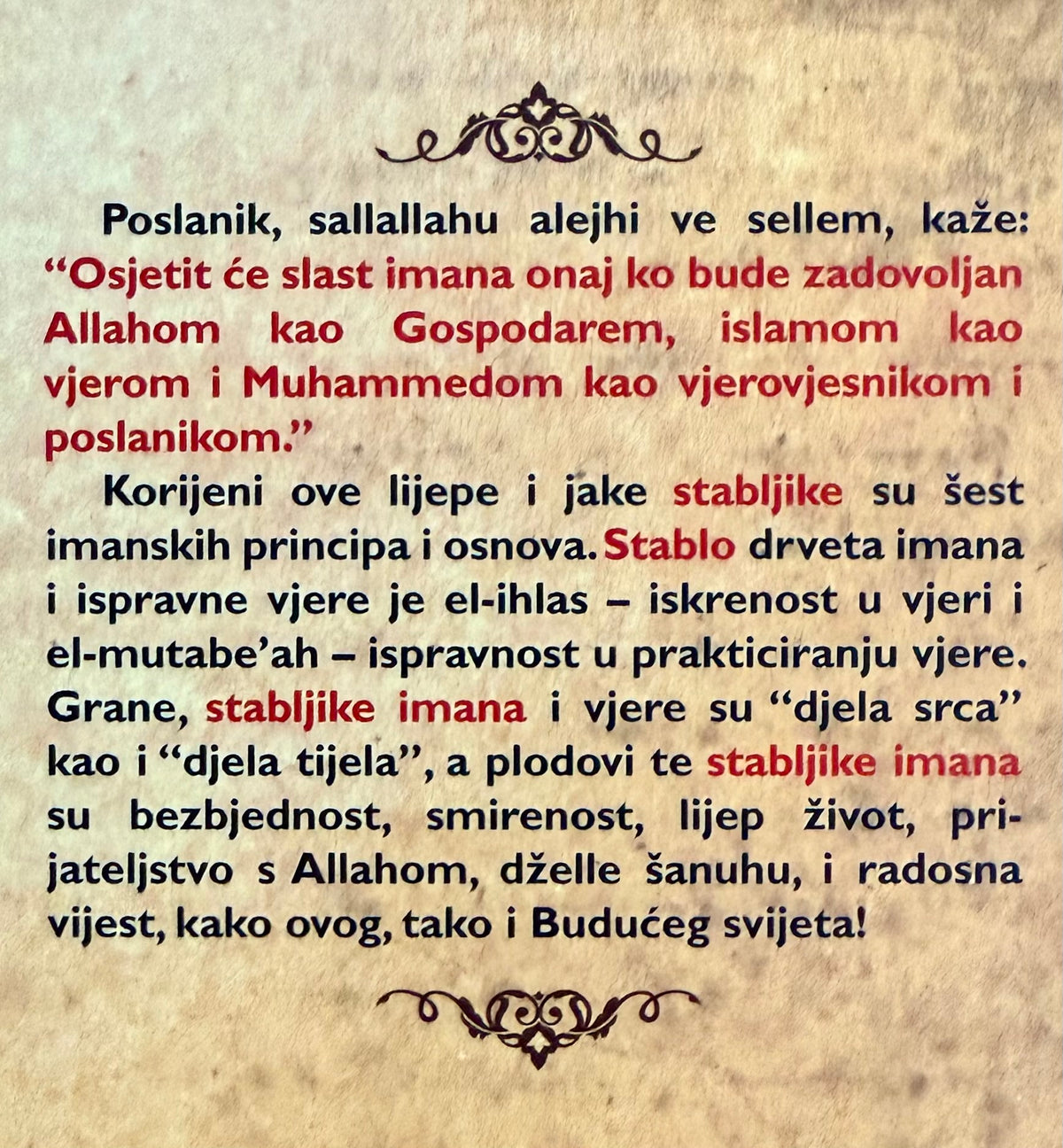 Stabljika imana