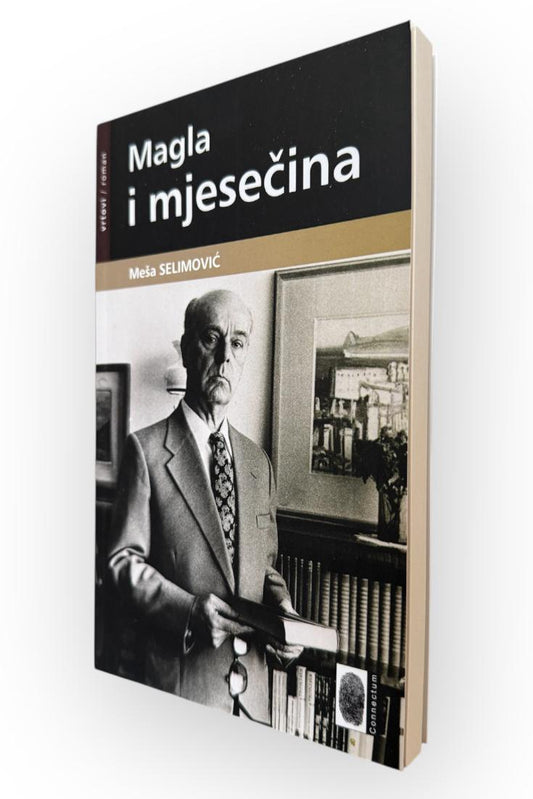 Magla i mjesečina
