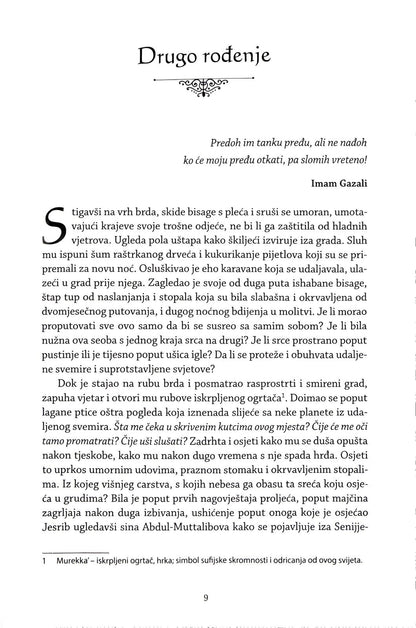 Danišmend - Roman o Gazaliju