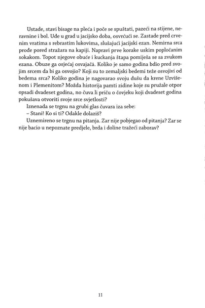 Danišmend - Roman o Gazaliju