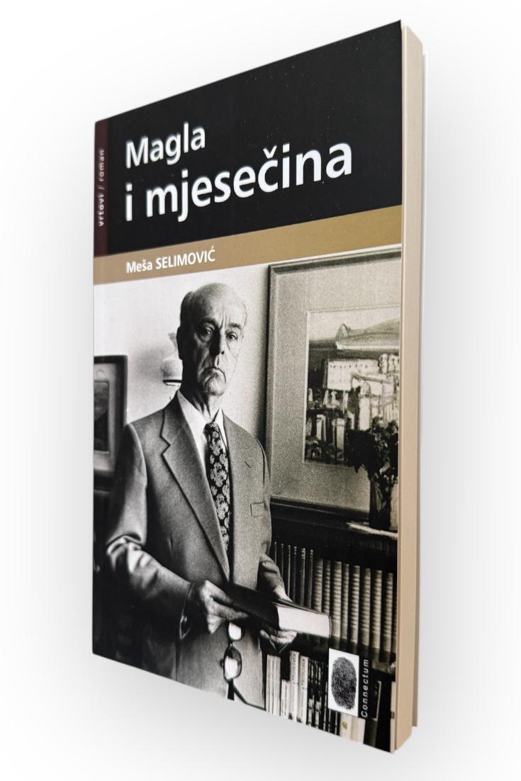 Magla i mjesečina