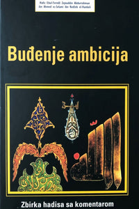 Buđenje ambicija