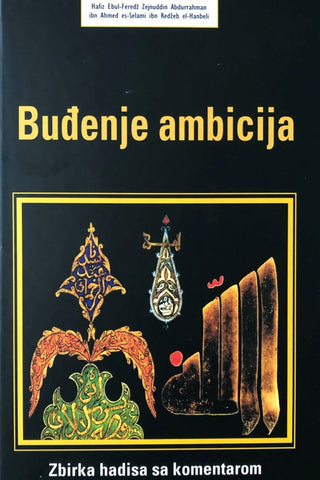 Buđenje ambicija