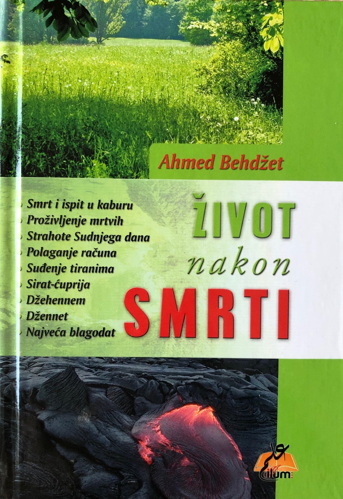 Život nakon smrti